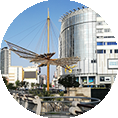 横扇注册公司