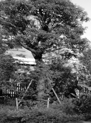 横扇注册公司